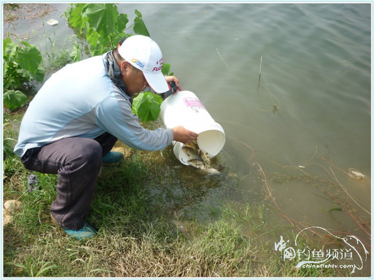 游钓中国丹江口市之行,游钓丹江300天