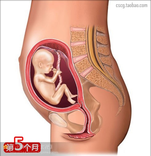 受益匪浅新手爸妈必读