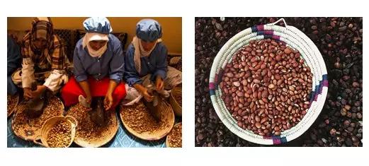 摩洛哥必买玫瑰精油,摩洛哥免签需要买回程票吗