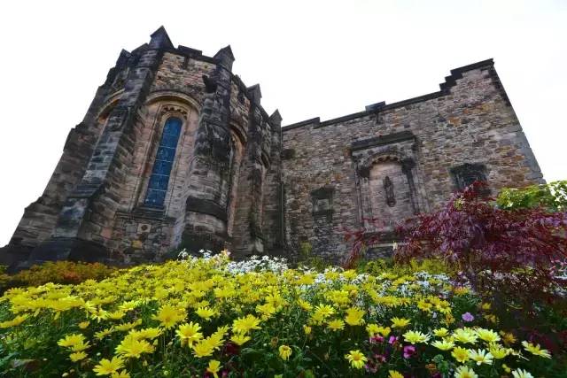 小编写完这条微信就请假去英国了,老板,这是我离英国最近的时刻