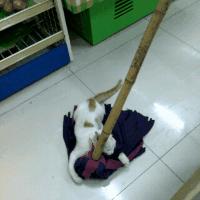 初二物理摩擦力易错题,中学物理难点归纳