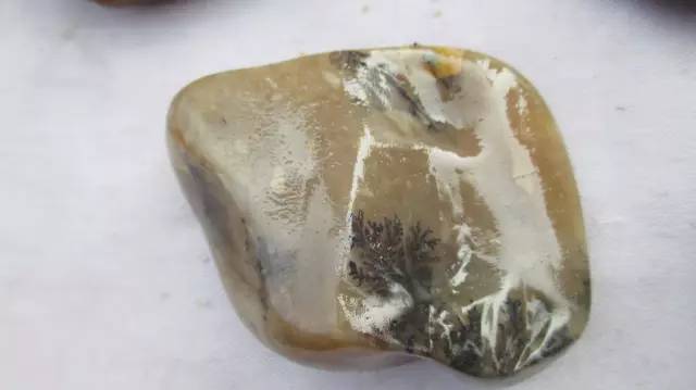 鍗氶泤鐭宠僵,鍗氶泤杞╁灞辩煶