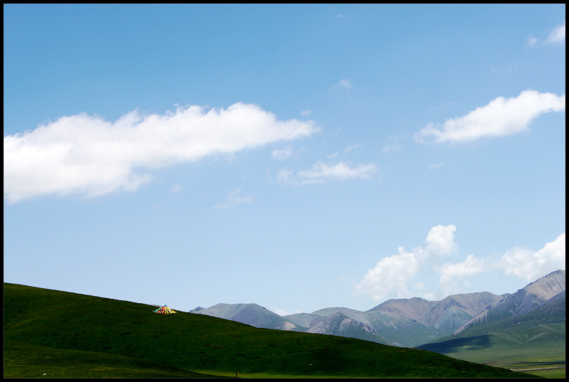 自由在高处的主要内容,自由在高处合集