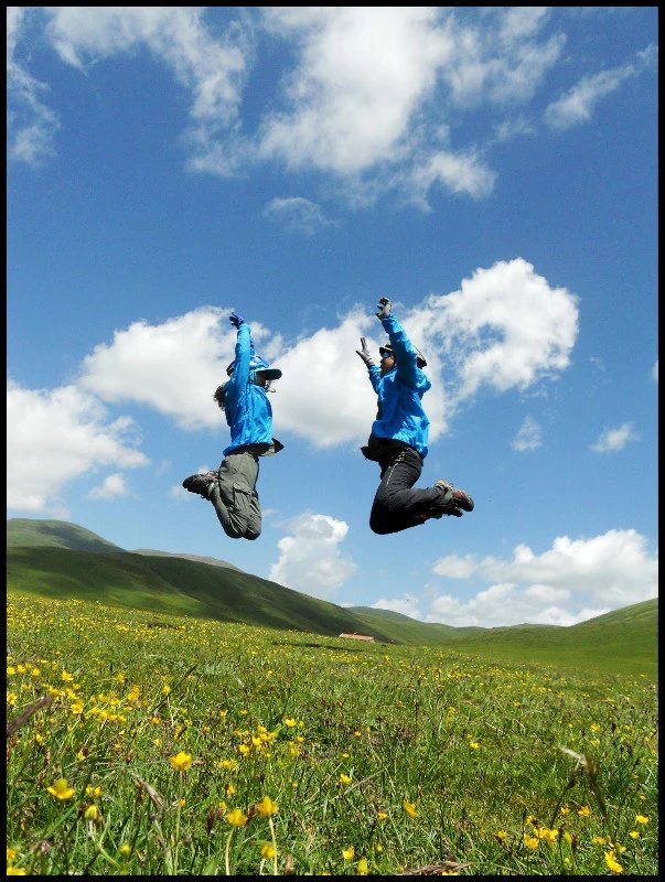 自由在高处的主要内容,自由在高处合集