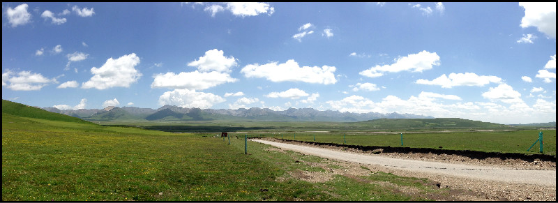 自由在高处的主要内容,自由在高处合集