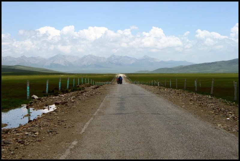 自由在高处的主要内容,自由在高处合集