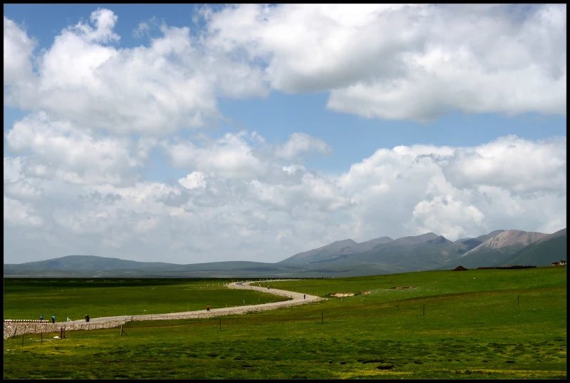 自由在高处的主要内容,自由在高处合集