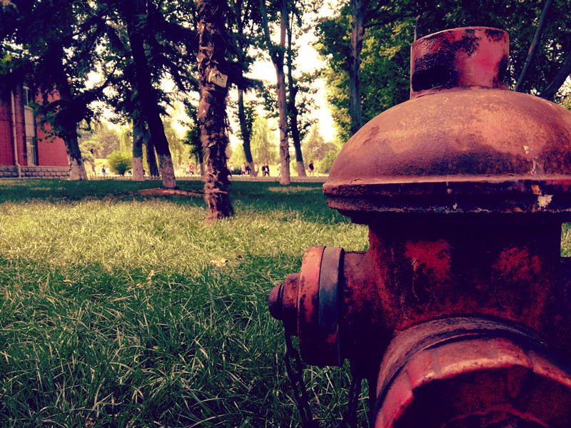 oppor9pro手机使用真实感受,oppor9欣赏