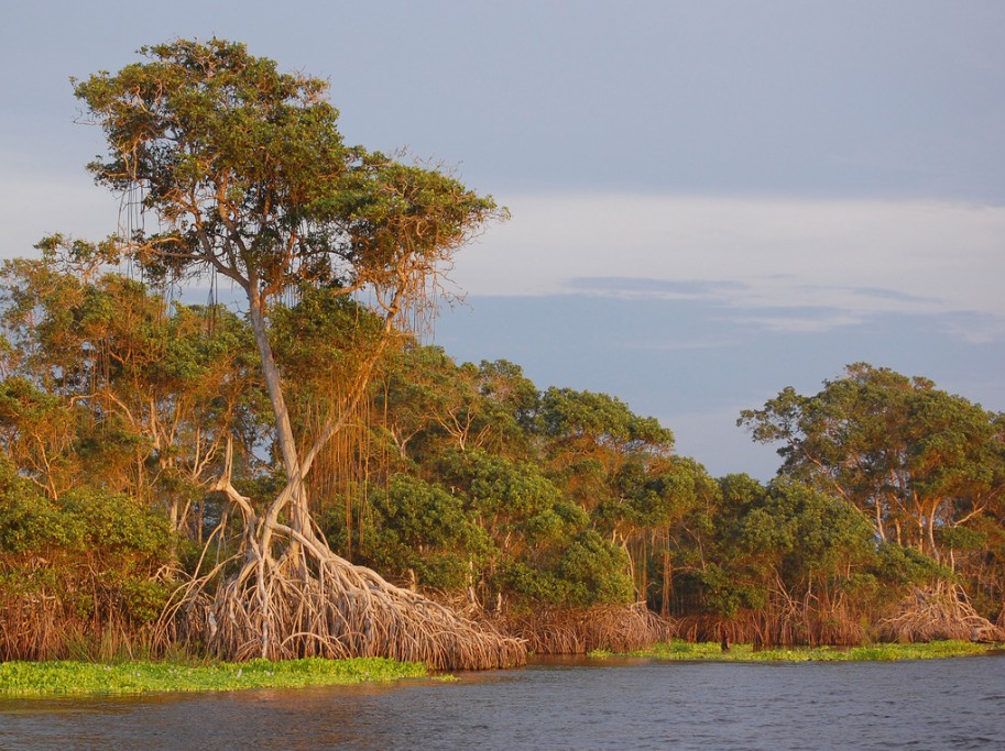 兰卡威旅游超详细攻略,去兰卡威注意事项
