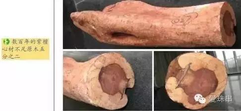 小叶紫檀原木图片,如何挑选小叶紫檀原木