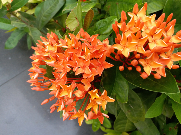 三星手机galaxy系列,三星galaxy最好看的手机