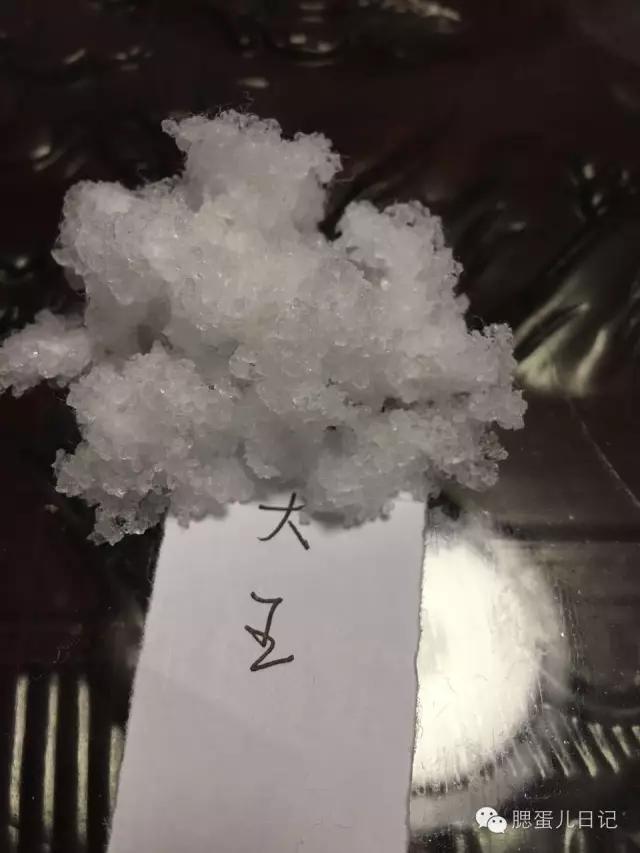 奶粉尿不湿试用公众号,品牌尿不湿1-3岁