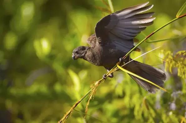 比马尔代夫还美的地方,比马尔代夫还美的国内海岛