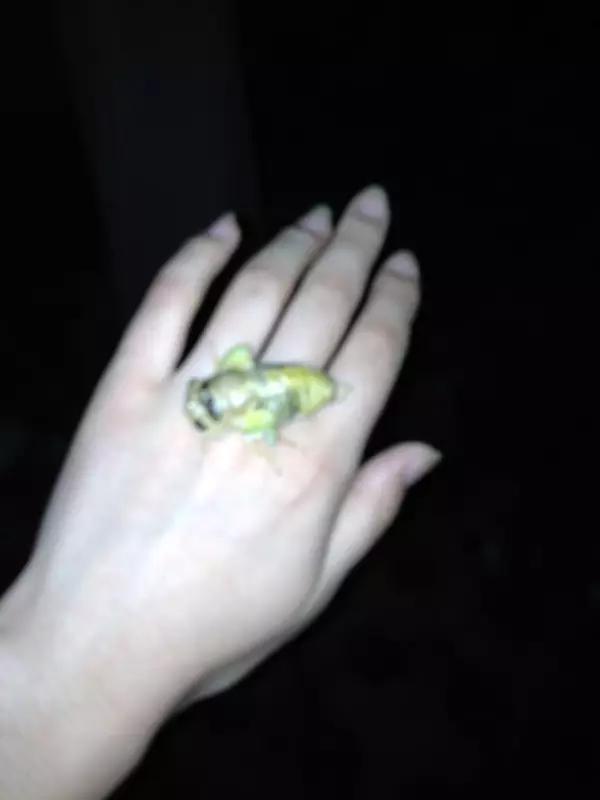 濮阳摸爬叉的地方,濮阳老城摸爬叉的地方