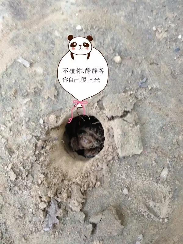 濮阳摸爬叉的地方,濮阳老城摸爬叉的地方