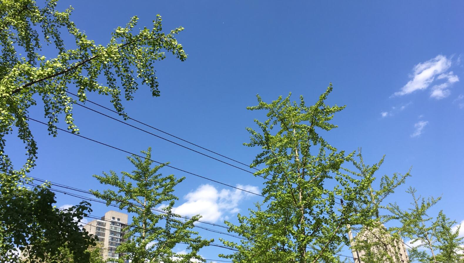 内在差异化的体现-乐2Pro测评