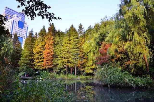 上海中山公园现在去免费吗,上海中山公园延长开放时间