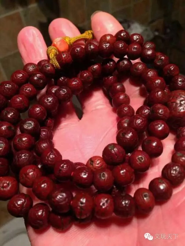 媳妇跟婆婆同时掉水里,媳妇和姑娘掉河里