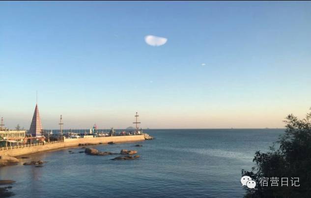 没去青岛也能看到海鸥,没去青岛的人对这个城市的印象