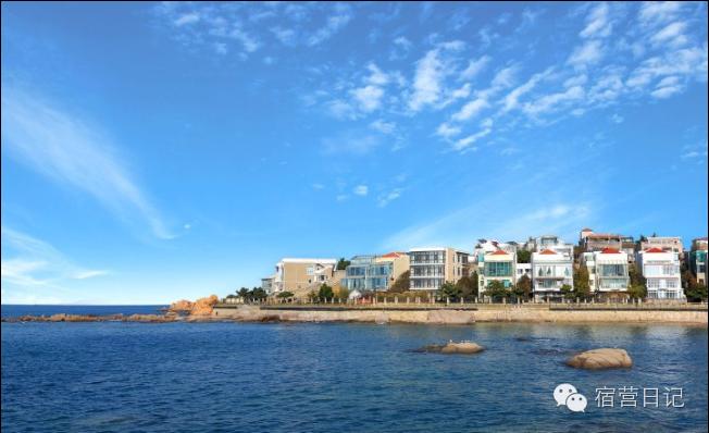 没去青岛也能看到海鸥,没去青岛的人对这个城市的印象