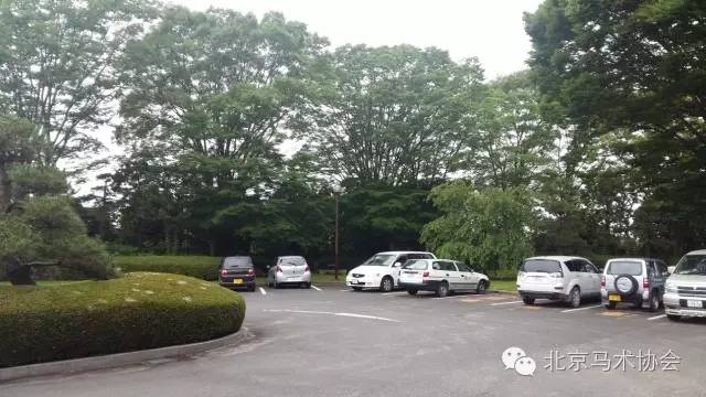 日本赛马会,日本中央赛马