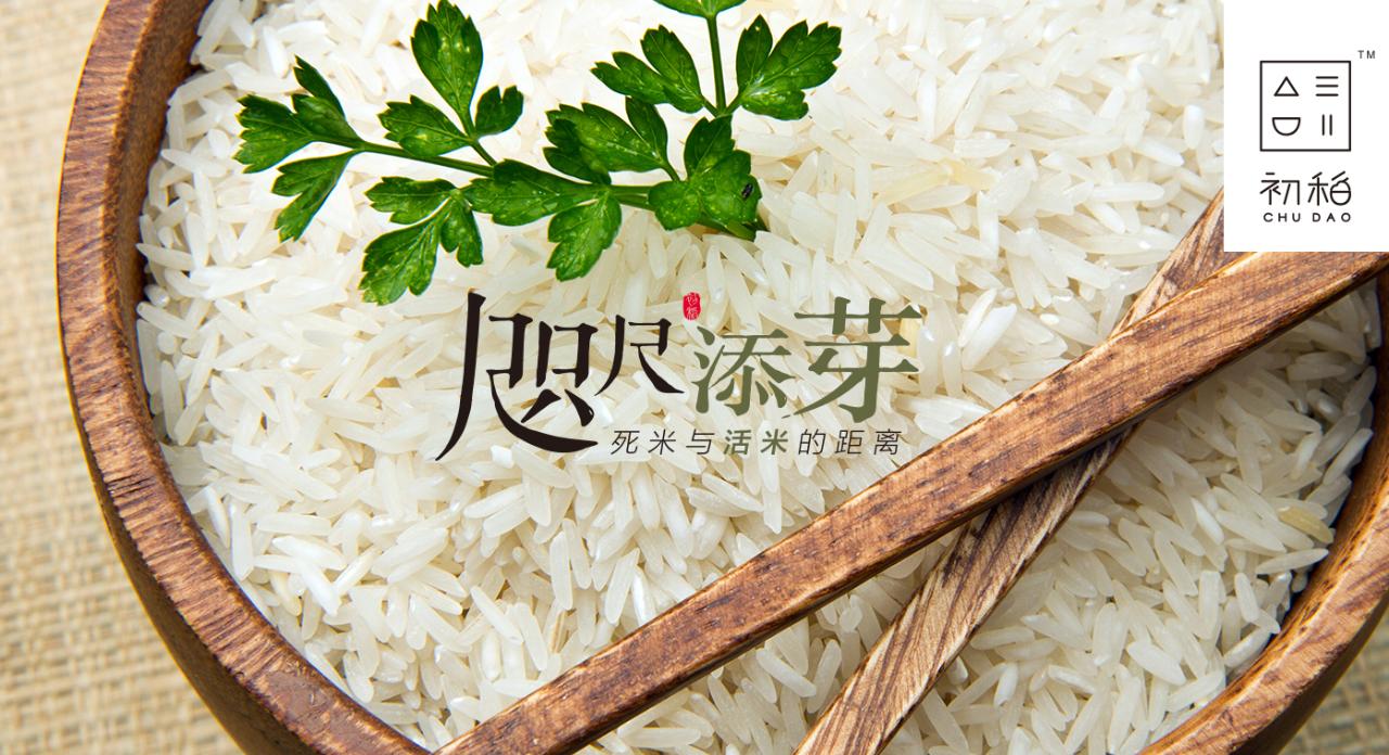 脚气病人的福音,脚气病患者的福音