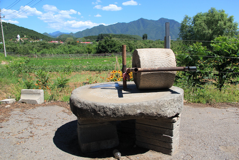 北京东方普罗旺斯薰衣草庄园,国外普罗旺斯薰衣草庄园夕阳