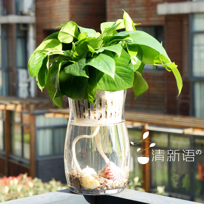 家装风水的十大禁忌,今年什么生肖不适合装修