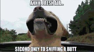 冰箱贴的小知识,冰箱知识和选购技巧