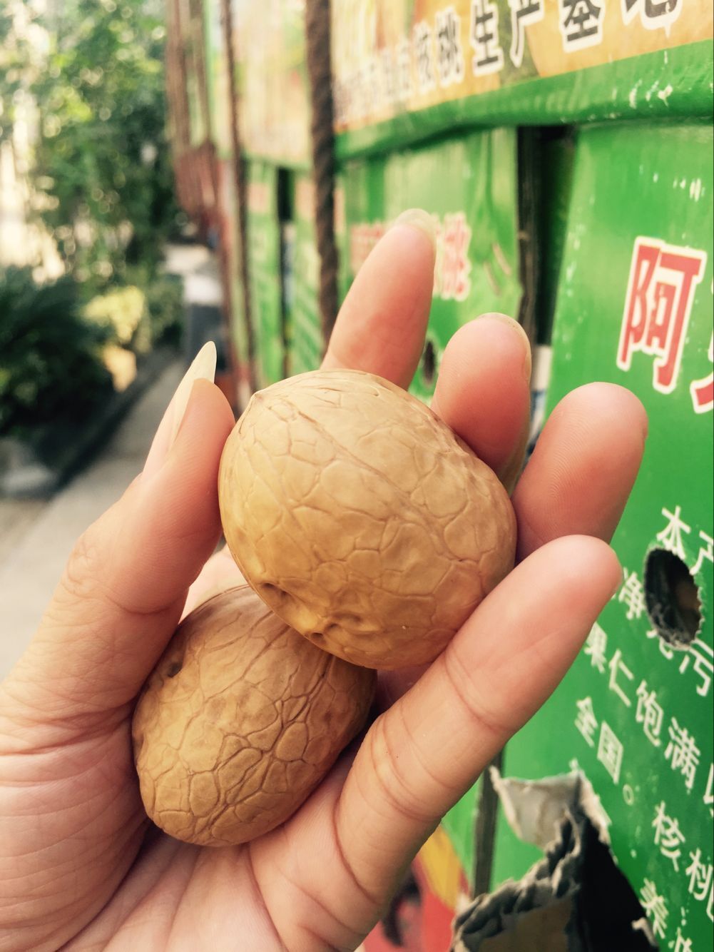 疆产核桃仁,新疆核桃和普通核桃的区别