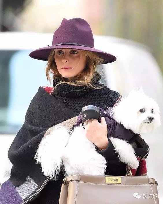 英国皇室帽子设计,英国皇室西装设计师