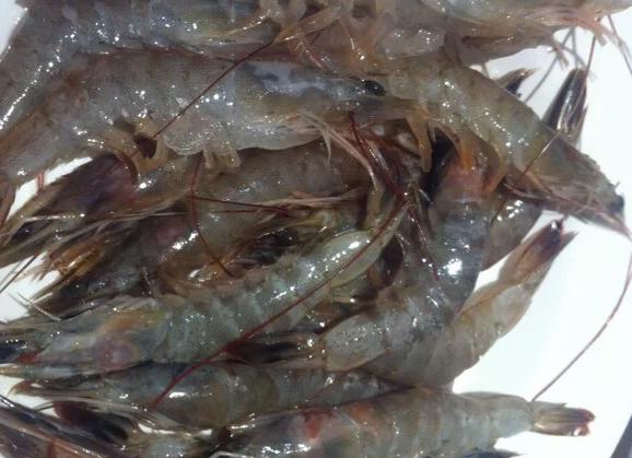 便宜又美味的自助,便宜又好吃的自助餐菜品