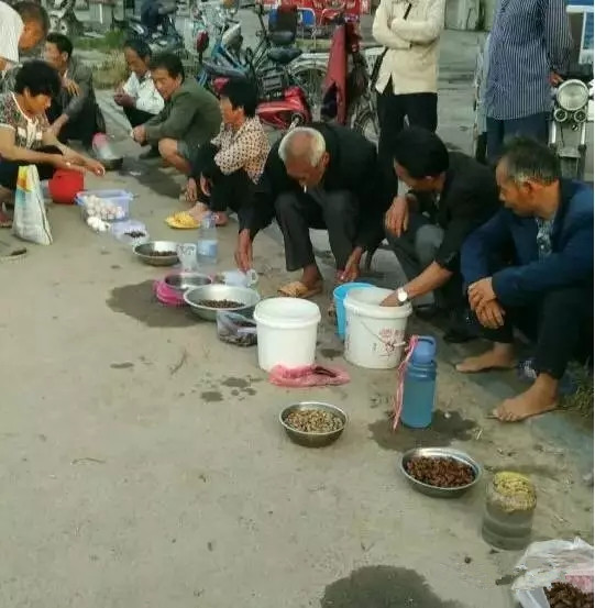 徐州某集市卖“姐喽龟”的，这场面你见过吗？