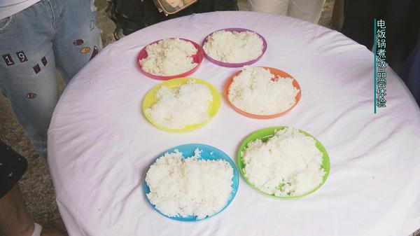 国内电饭煲和日韩有什么区别,三千元日本电饭煲大比拼