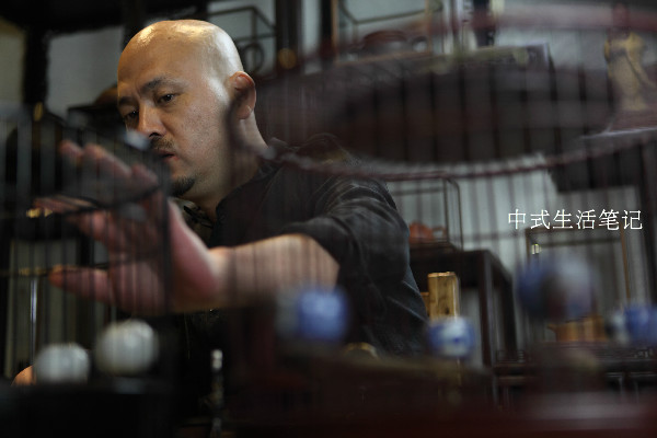 提笼架鸟说明什么,提笼架鸟视频