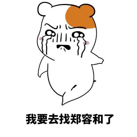 郑容和是怎么出道的,郑容和进军华语乐坛