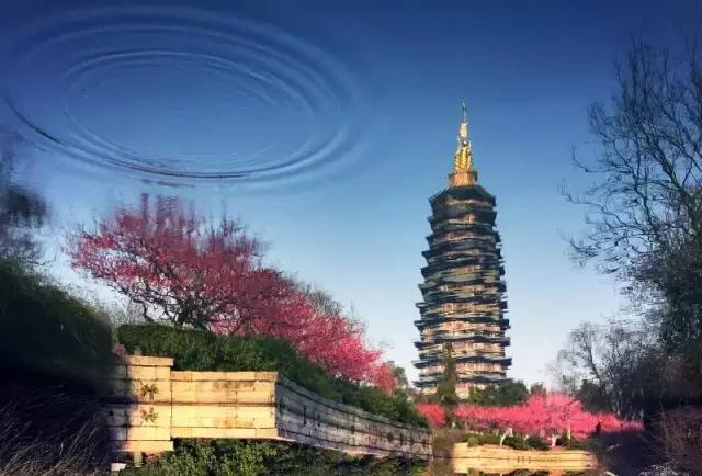 点赞他们的高光时刻,大家用手机拍出过什么好看的照片