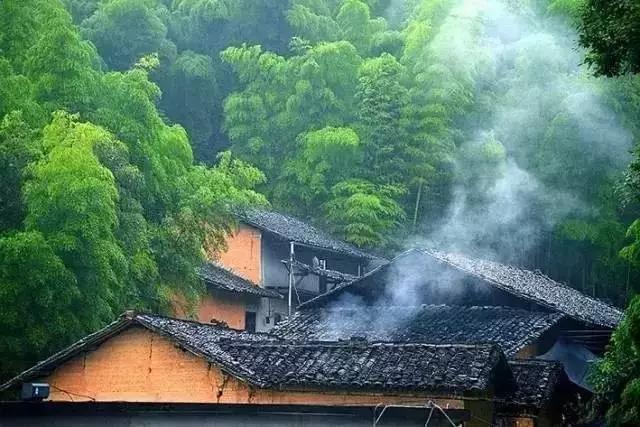 点赞他们的高光时刻,大家用手机拍出过什么好看的照片