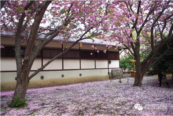 胡歌霍建华最美的场景视频,胡歌霍建华冬天游玩