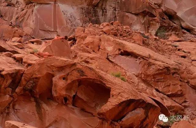 图：人体彩绘裸模藏进美景