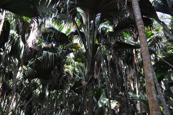 充满颜色的塞舌尔