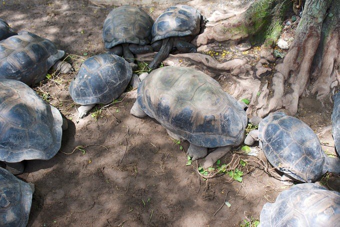充满颜色的塞舌尔