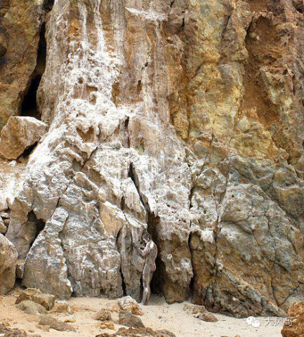 图：人体彩绘裸模藏进美景