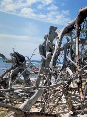 图：人体彩绘裸模藏进美景