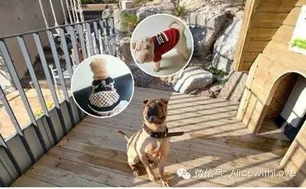 GD你这个有颜有钱有才华的心机boy，快来娶我吧