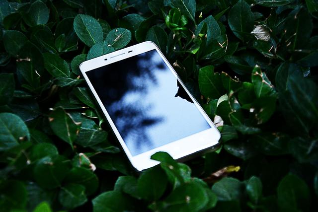 乐檬回归了完整版,乐檬回归