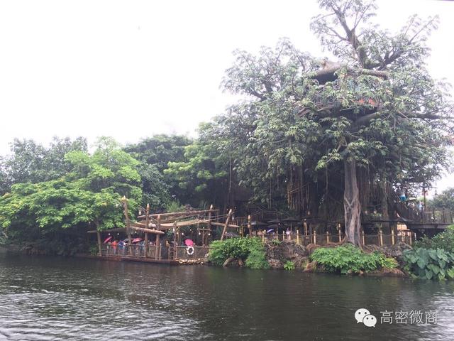 亲身体验｜香港自由行怎么吃喝玩乐游购娱？