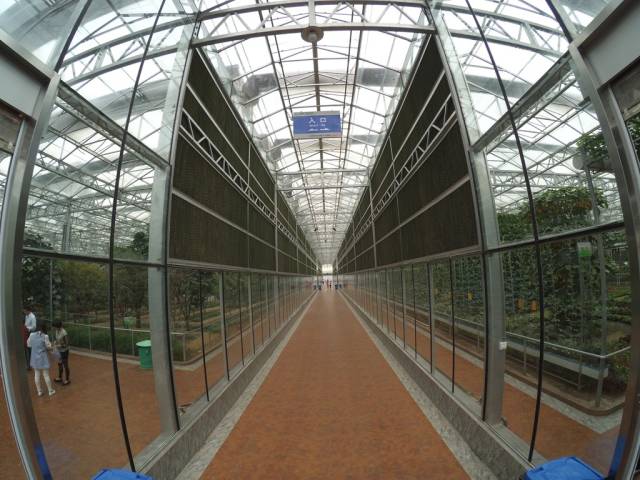 带上小蚁运动相机游潍坊（三）寿光菜博会