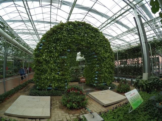 带上小蚁运动相机游潍坊（三）寿光菜博会