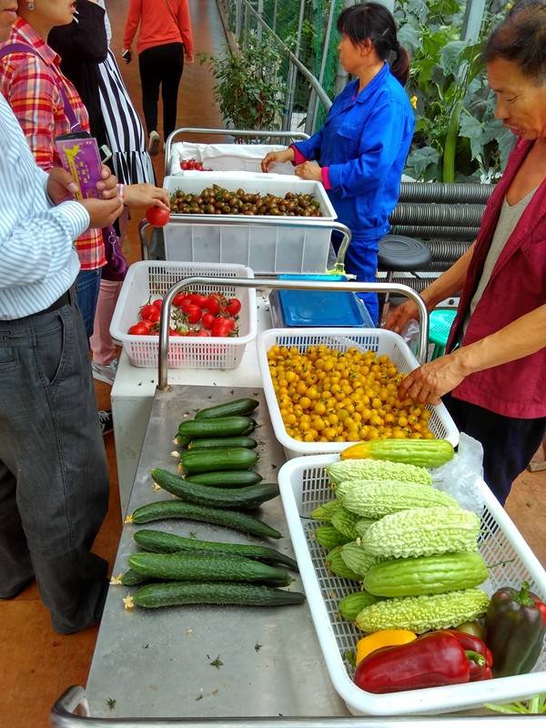带上小蚁运动相机游潍坊（三）寿光菜博会